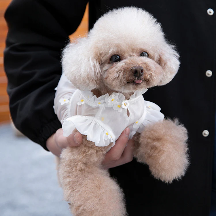 Sweet Flower Design Tulle Dog Cat Dress - immagine 6