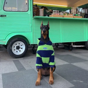 Cappotto Cane Taglia Grande Extra Spesso Caldo Inverno