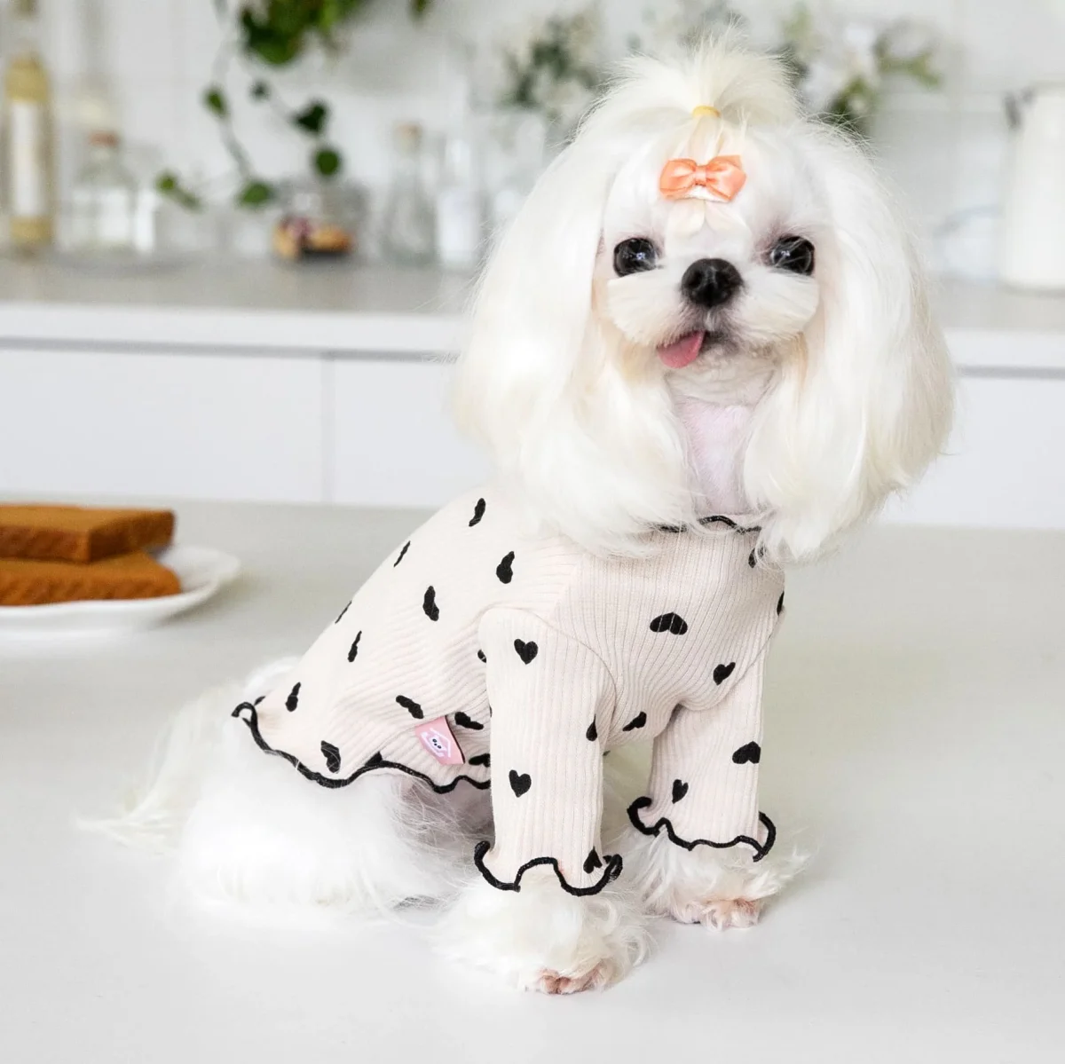 Little Heart Ruffled Dog Cat Sweatshirt - immagine 5