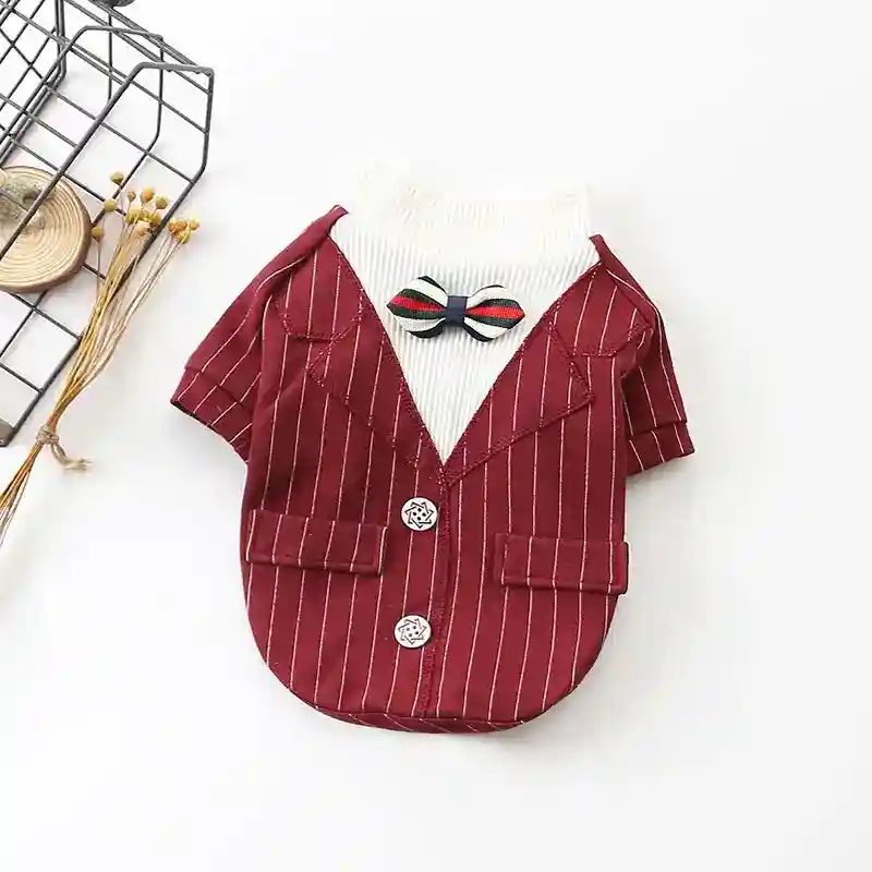 Abito elegante per cani con piccolo Papillon