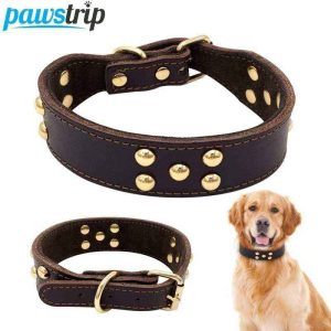 Collare in Cuoio per Cani "Pawstrip" con Borchie - Elegante e Resistente