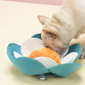 Tappetino olfattivo per cani – Stimolazione mentale e divertimento per il tuo amico a quattro zampe