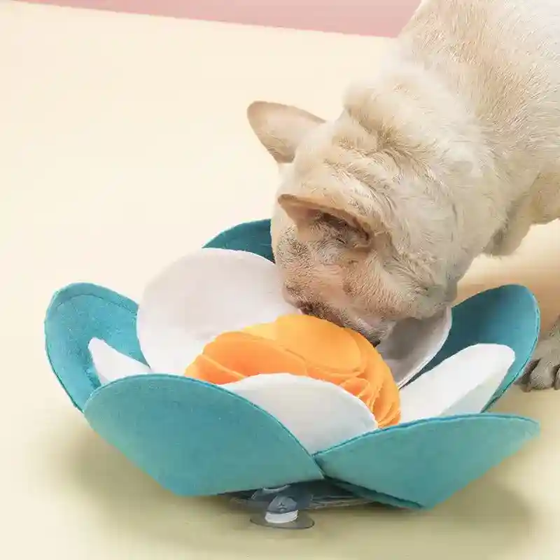 Tappetino olfattivo per cani – Stimolazione mentale e divertimento per il tuo amico a quattro zampe - immagine 2