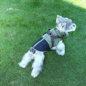 Cappottino per Cani con Pettorina e Zip - Interno Pile