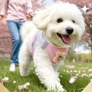Breathable Flower Decor Dog Harness&Leash