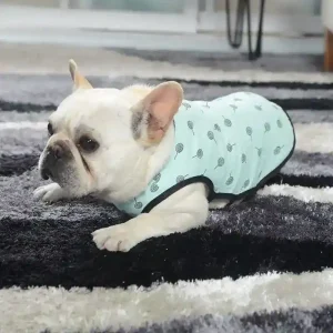 Canottiera per cani "Tofee" – Comfort e stile per il tuo Bulldog Francese