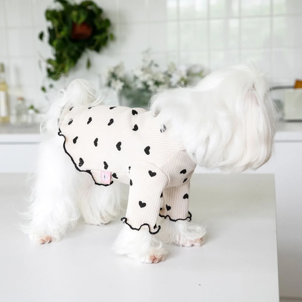 Little Heart Ruffled Dog Cat Sweatshirt - immagine 6