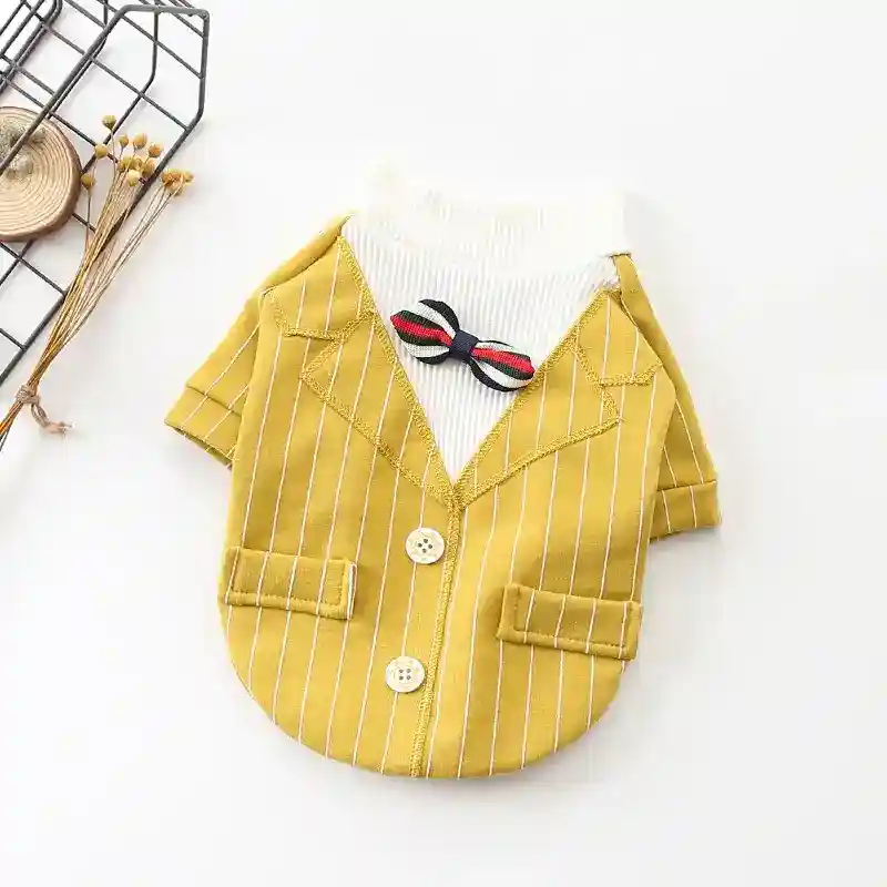 Abito elegante per cani con piccolo Papillon - immagine 5