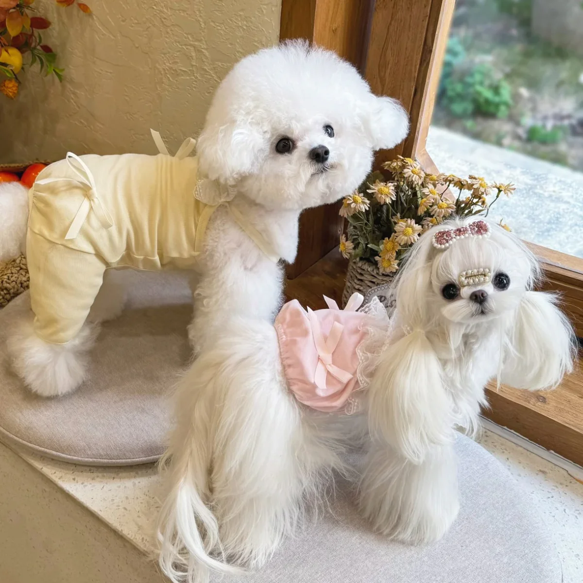 Sweet Lace Layered Collar Dog Vest/Jumpsuits - immagine 9