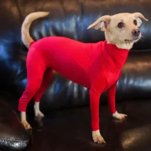 Tutina per cani taglia media e grande a 4 zampe con zip addome