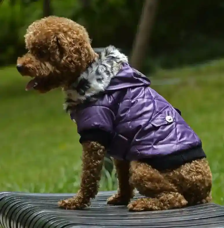 Cappotto per Cani con Cappuccio in Ecopelliccia - Eleganza e Calore per Barboncini - immagine 5