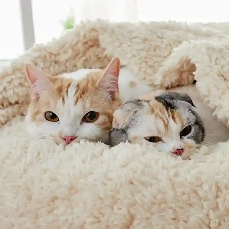 Cuccia a Ciambella Morbida per Cani - Modello NUVOLA 2.0 con Copertina - immagine 3