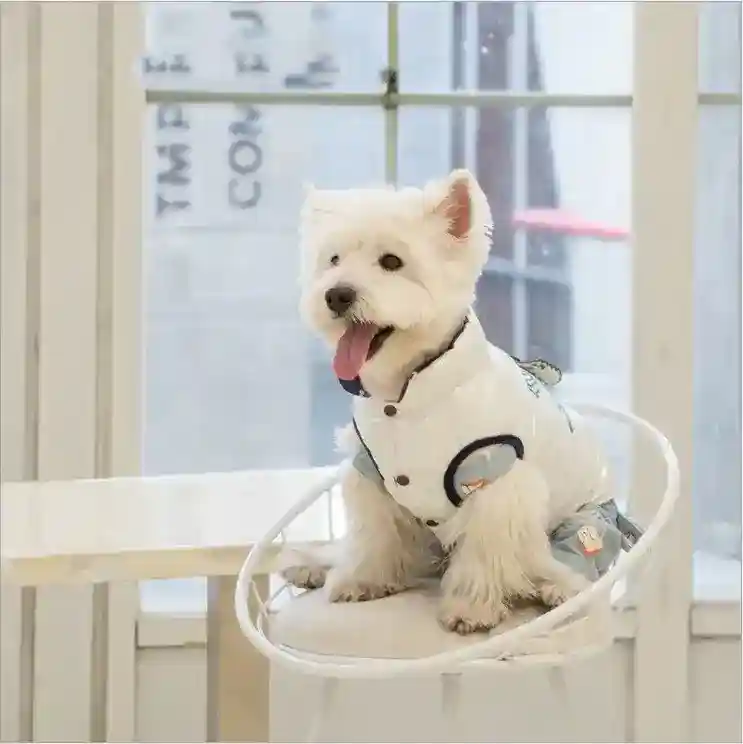 Cappottino Impermeabile Double Face Rice per Cani e Gatti - immagine 5