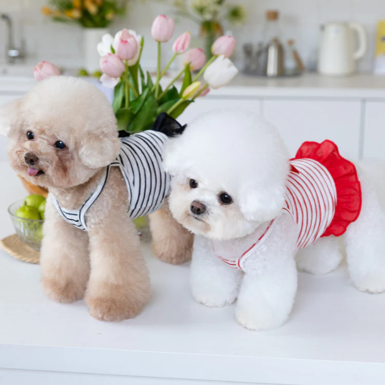 Breathable Bow Striped Dog Cat Vest - immagine 5