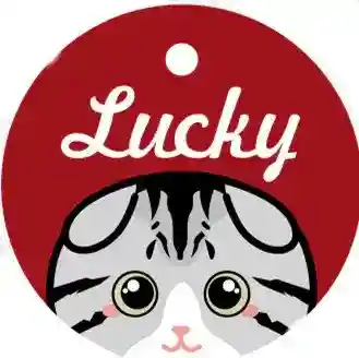 Medaglietta Gatto Personalizzata con Nome e Campanellino - immagine 9