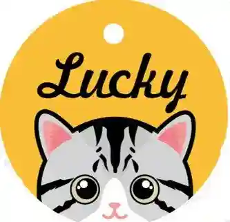 Medaglietta Gatto Personalizzata con Nome e Campanellino - immagine 7