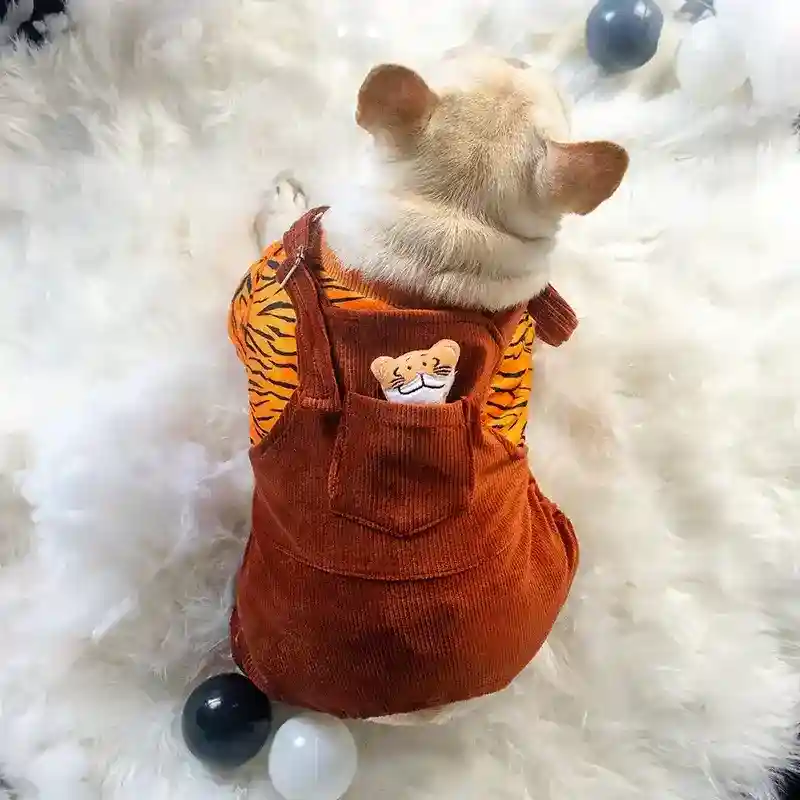 Vestito per Cani Modello "Salopette" – Salopette in Velluto e Maglia in Pile - immagine 7