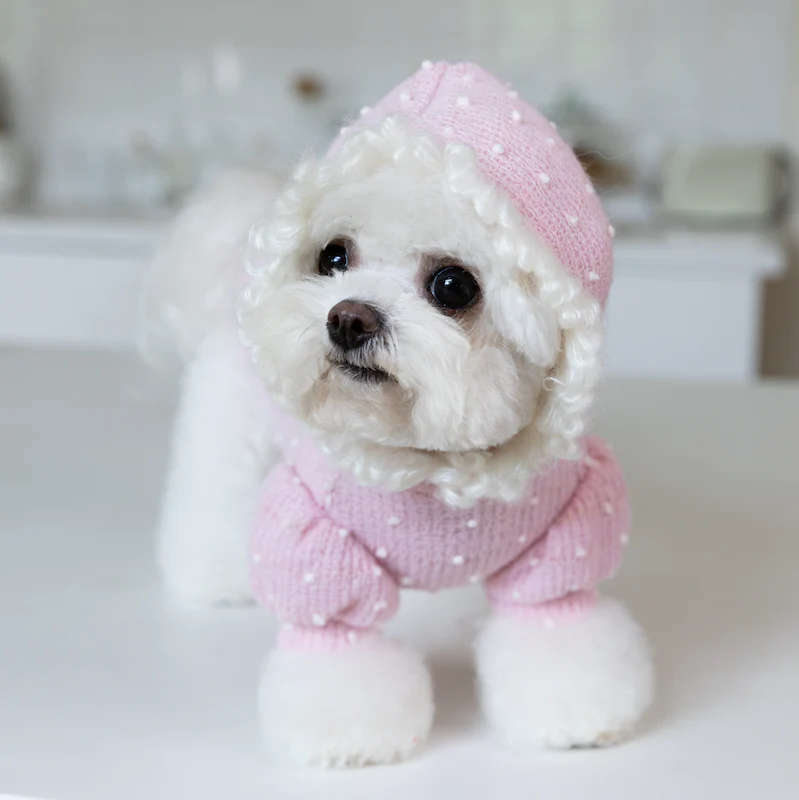 Sweet Polka Dot Knitted Dog Cat Hoodie - immagine 7