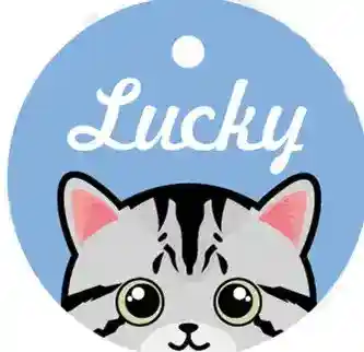 Medaglietta Gatto Personalizzata con Nome e Campanellino - immagine 3