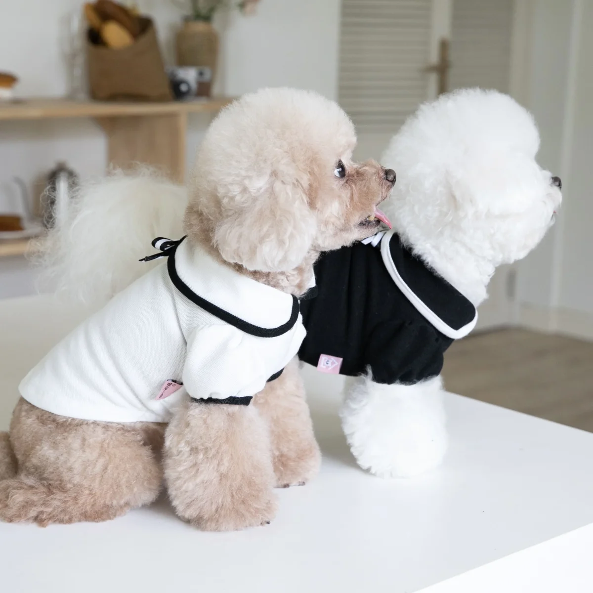 Sweet Collar Puffy Sleeves Dog Cat Tee - immagine 7
