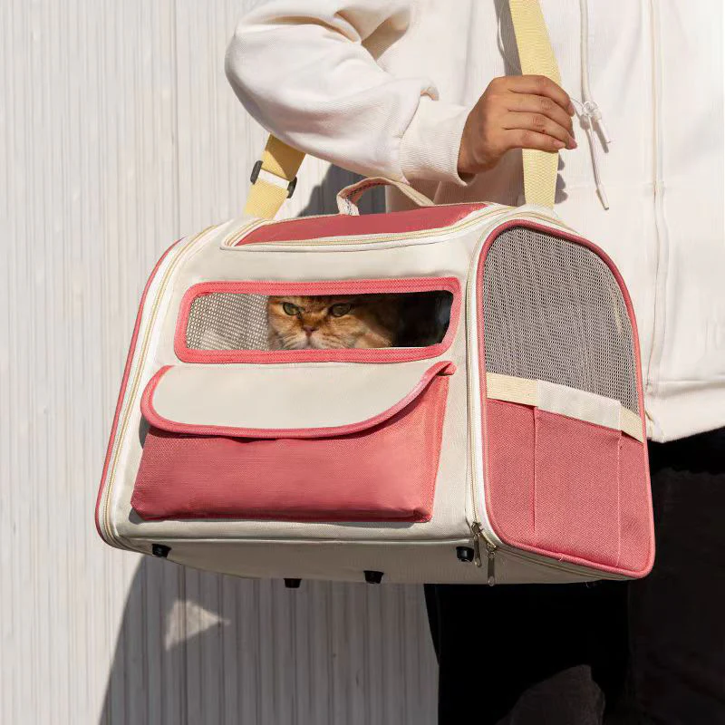 Trasportino Gatti Apertura Superiore Doppio Ingresso - immagine 3