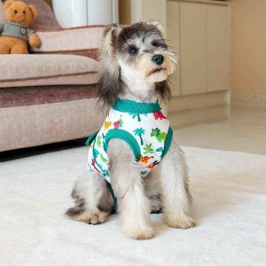 Tutina Post Operatoria per Cani - Anti Leccamento Sterilizzazione