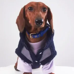 Cappotto Cani Bassotto Waffle Pile Lungo Smanicato