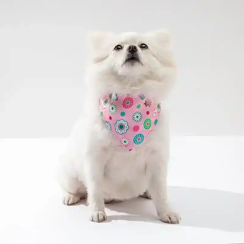 Bandana per Cani con Stampa | Collare Decorativo Fashion - immagine 4