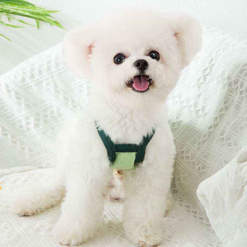 Canotta per Cani Ricamata | Leggera e Traspirante | Dogmoda - immagine 4