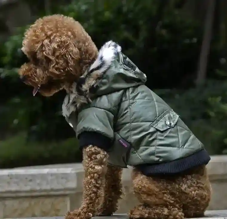 Cappotto per Cani con Cappuccio in Ecopelliccia - Eleganza e Calore per Barboncini - immagine 2