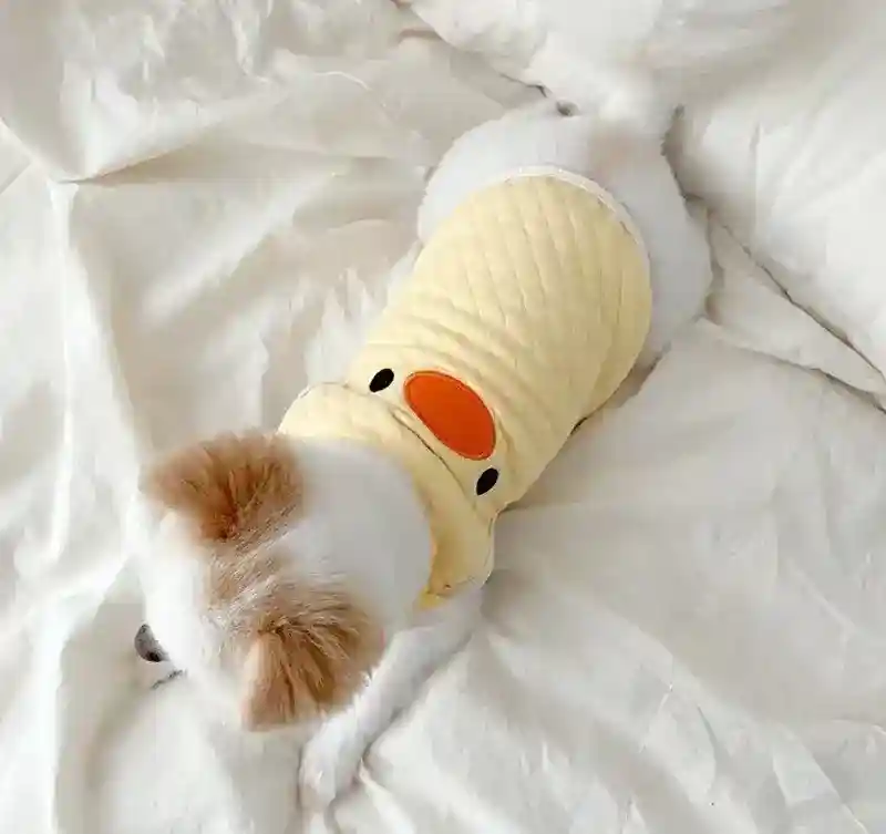 Canotta per Cani "Cip Cip" - Gialla con Paperotto o Rosa con Topolino - immagine 5