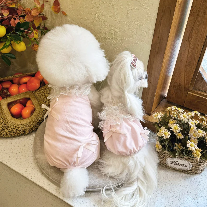 Sweet Lace Layered Collar Dog Vest/Jumpsuits - immagine 8