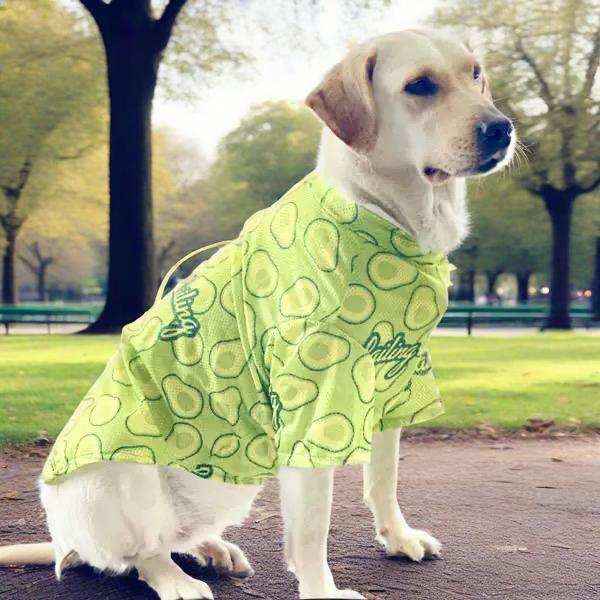 Maglia Leggera per Cani Grandi - Fantasie Divertenti - immagine 6