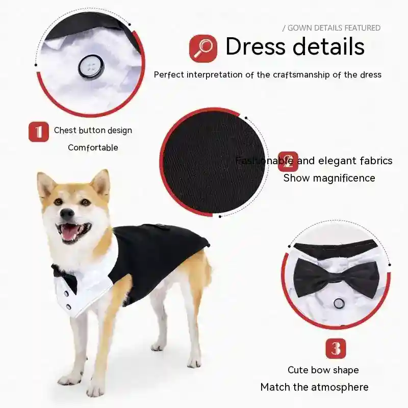 Vestito per Cani per Matrimoni e Compleanni Modello "Suit" - immagine 9