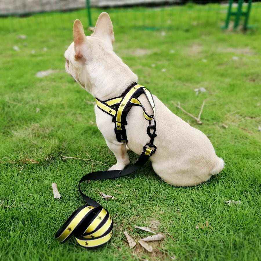 Pettorina per cani finlandese modello "Hollywood" - immagine 4