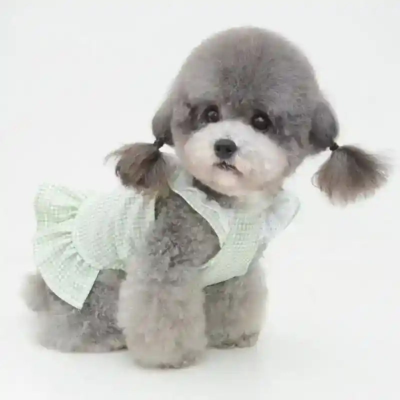 Vestito per Barboncino Toy con Fiocchetto - Modello Ribbon, Eleganza e Comfort - immagine 5