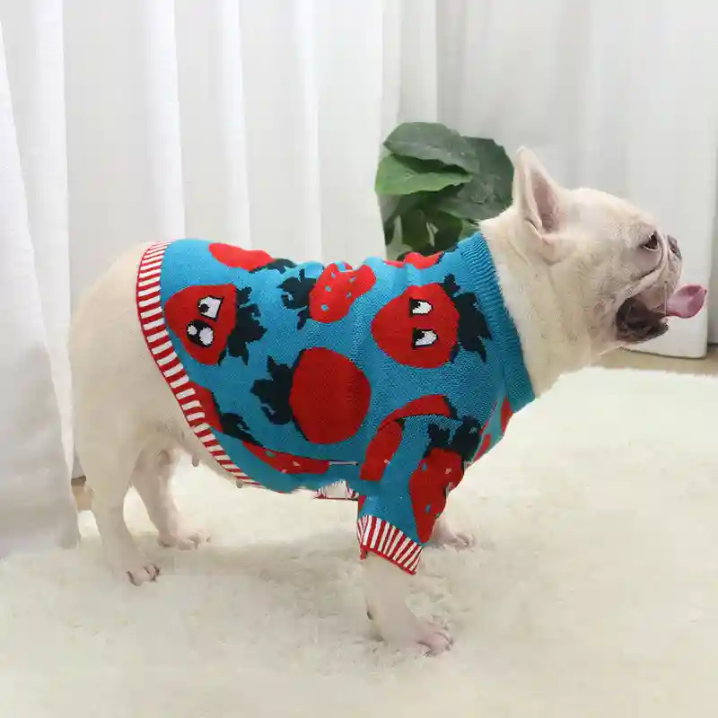 Maglione per Cani Fragola - Caldo e Divertente - immagine 7