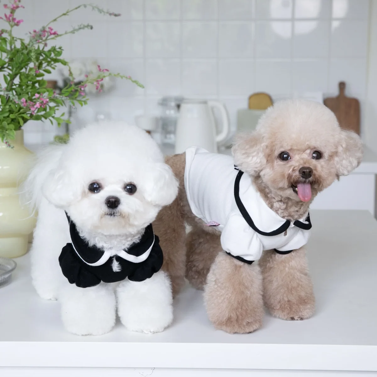 Sweet Collar Puffy Sleeves Dog Cat Tee - immagine 6