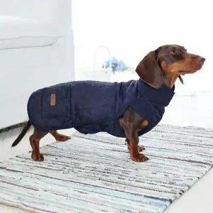 Cappotto Bassotto Doglemi - Idrorepellente Dachshund