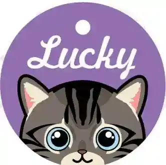 Medaglietta Gatto Personalizzata con Nome e Campanellino - immagine 6