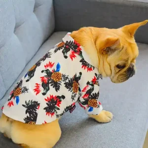 Vestito per cani e Bulldog "Cosmopolitan"