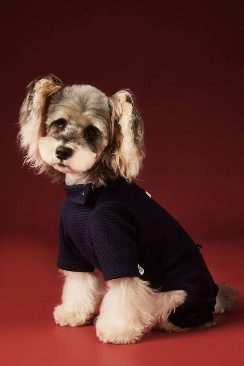 Tutina Cane 4 Zampe Tawney Bear - Pigiama Invernale - immagine 5