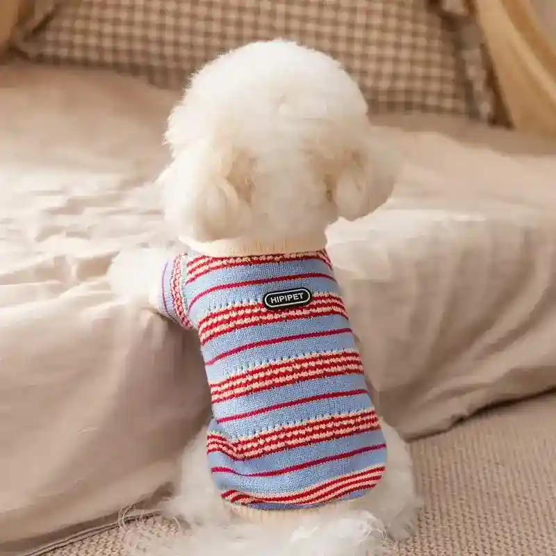 Maglione Cani Gatti Righe Caldo Invernale Maglia Knit - immagine 9