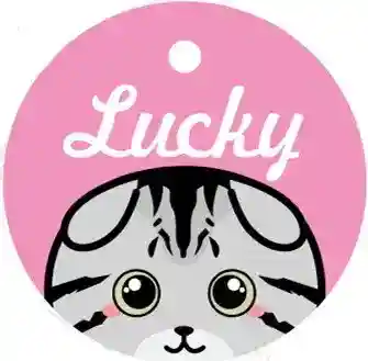 Medaglietta Gatto Personalizzata con Nome e Campanellino - immagine 8