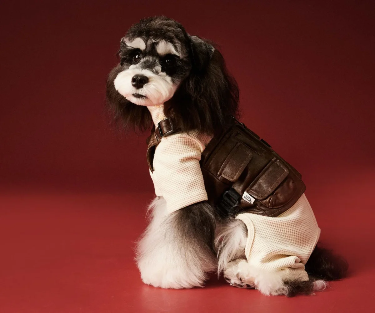 Tutina Cane 4 Zampe Tawney Bear - Pigiama Invernale - immagine 4