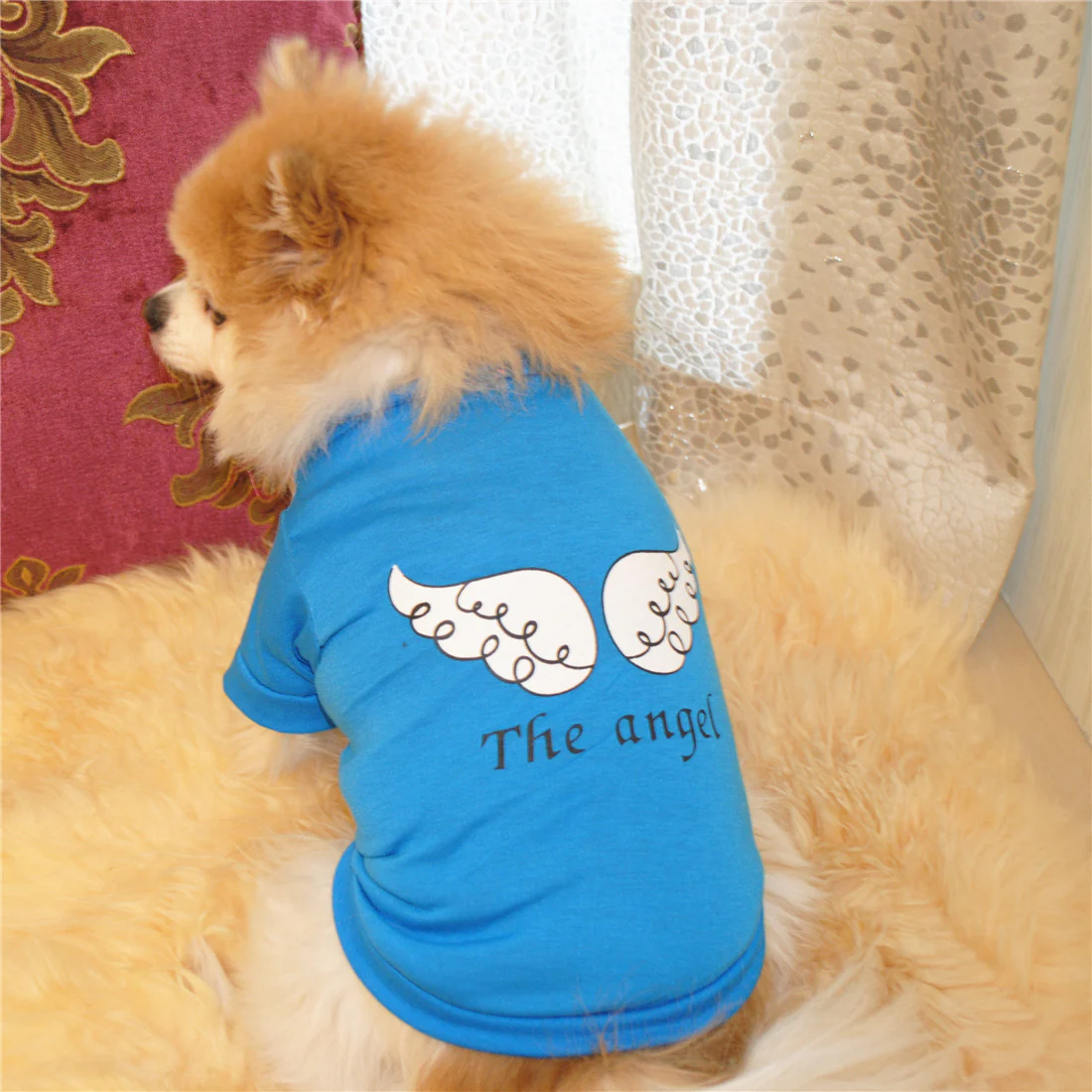 Angel Printed Dog Cat T-shirt - immagine 4