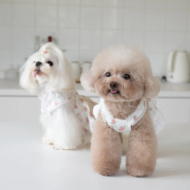 Sweet Floral Printed Buttoned Dog Cat Dress - immagine 7