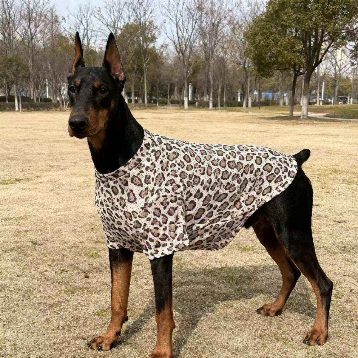 Maglia Leggera per Cani Grandi - Fantasie Divertenti - immagine 7