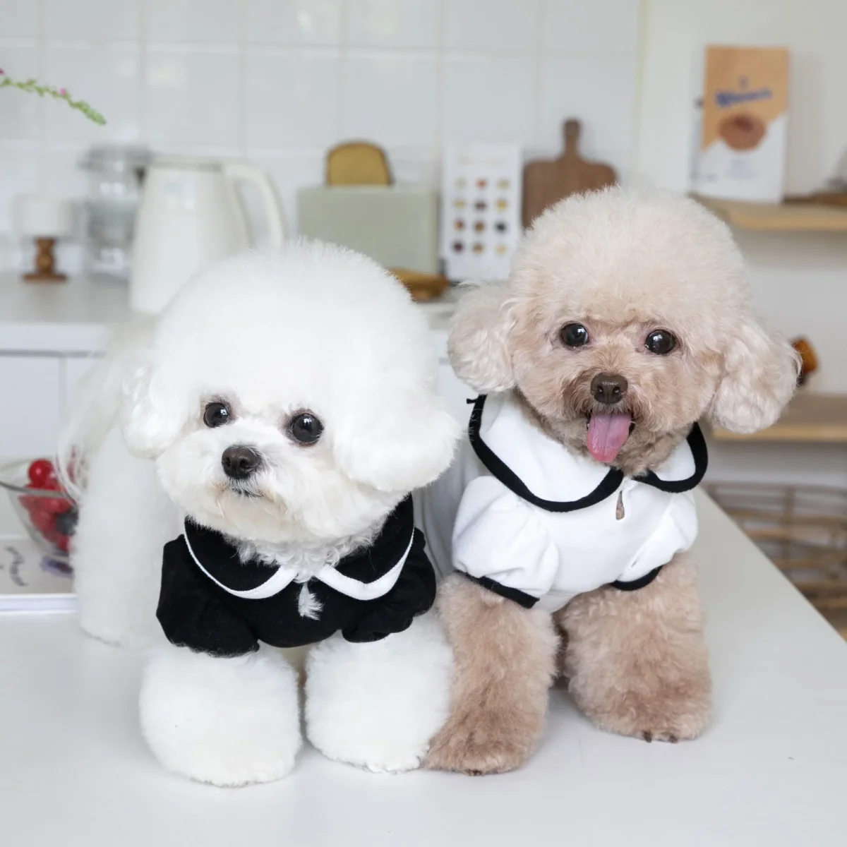 Sweet Collar Puffy Sleeves Dog Cat Tee