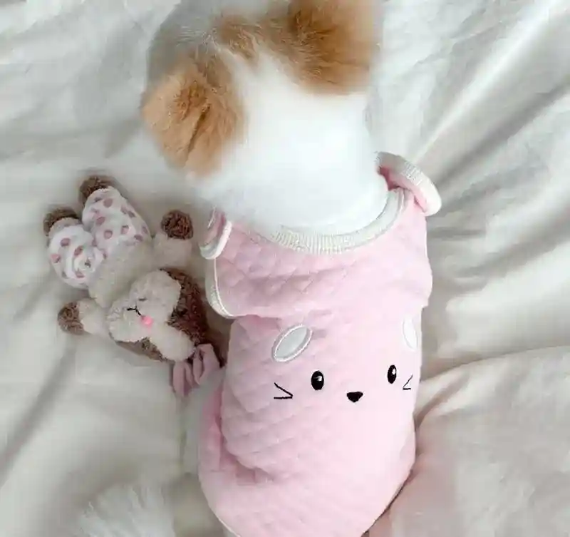 Canotta per Cani "Cip Cip" - Gialla con Paperotto o Rosa con Topolino - immagine 7